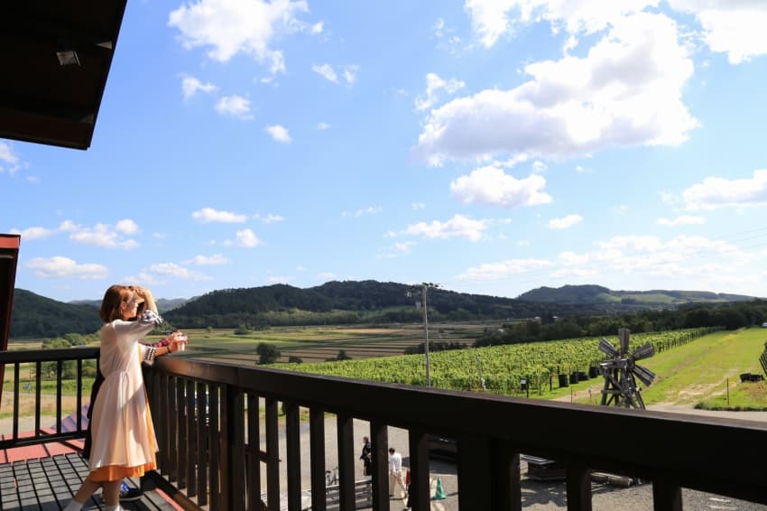 Housui Winery vineyard