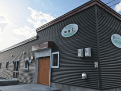Winery Yumenomori vineyard