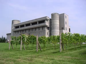 Tokachi Wine (Ikeda Wine Castle) vineyard