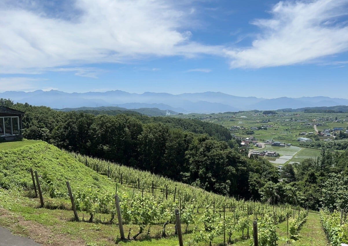 Panoramic view of Nagano's alpine wine valleys showcasing diverse terroir across Japan's mountain wine region
