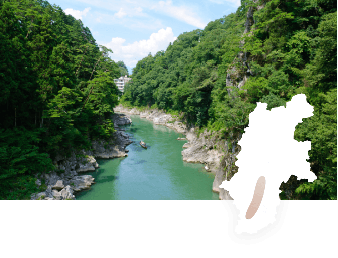 Tenryugawa Wine Valley - Southern Nagano wine region