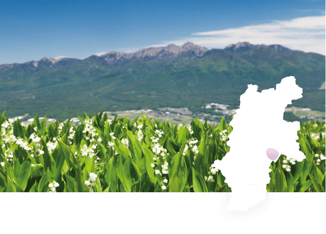 Yatsugatake Wine Region - Volcanic soil wineries