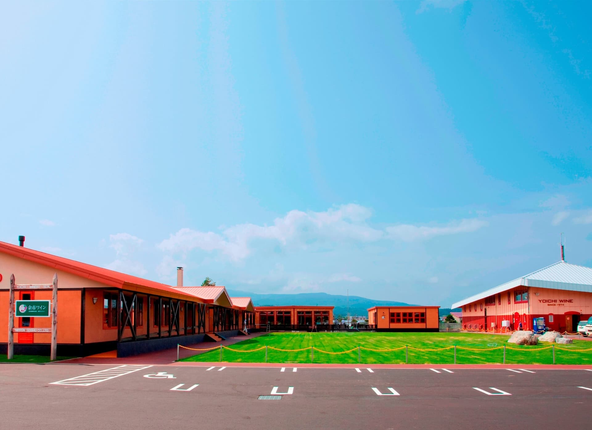 Yoichi Winery vineyard