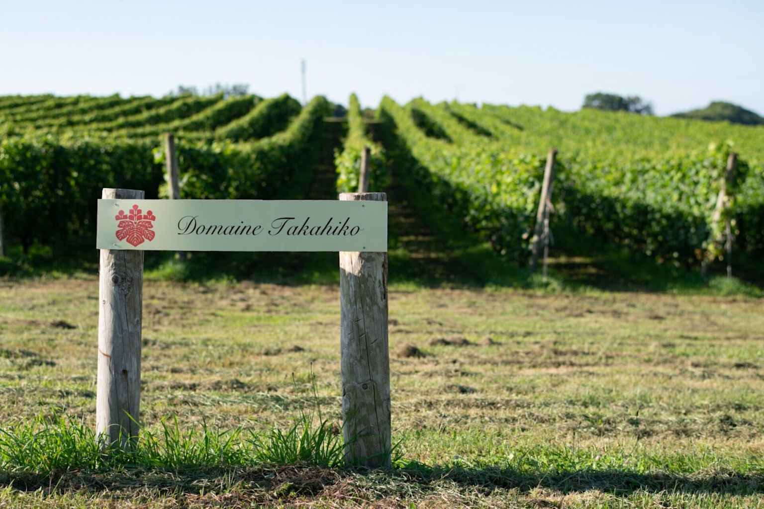Domaine Takahiko vineyard