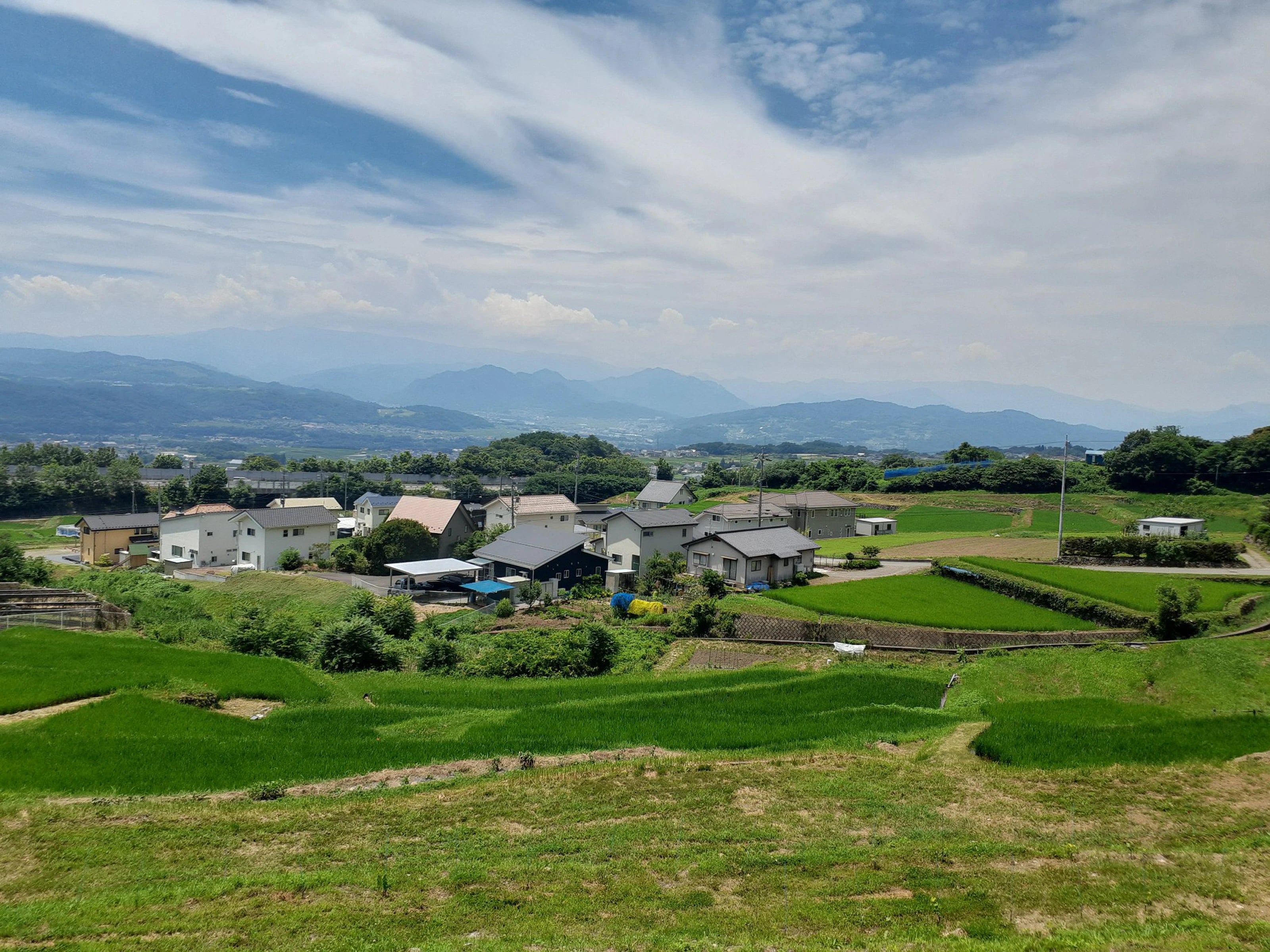 Aperture Farm and Winery vineyard
