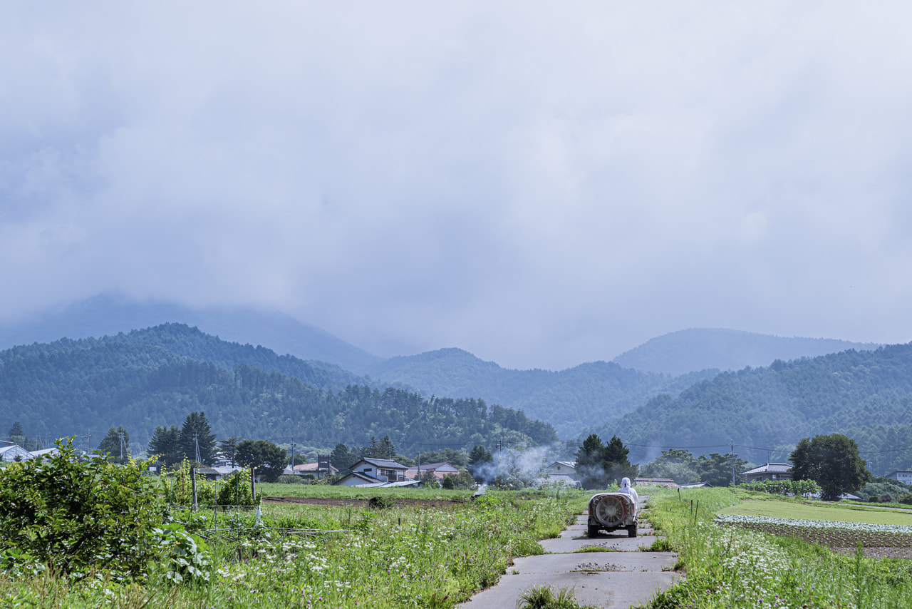 Atellier du vin vineyard