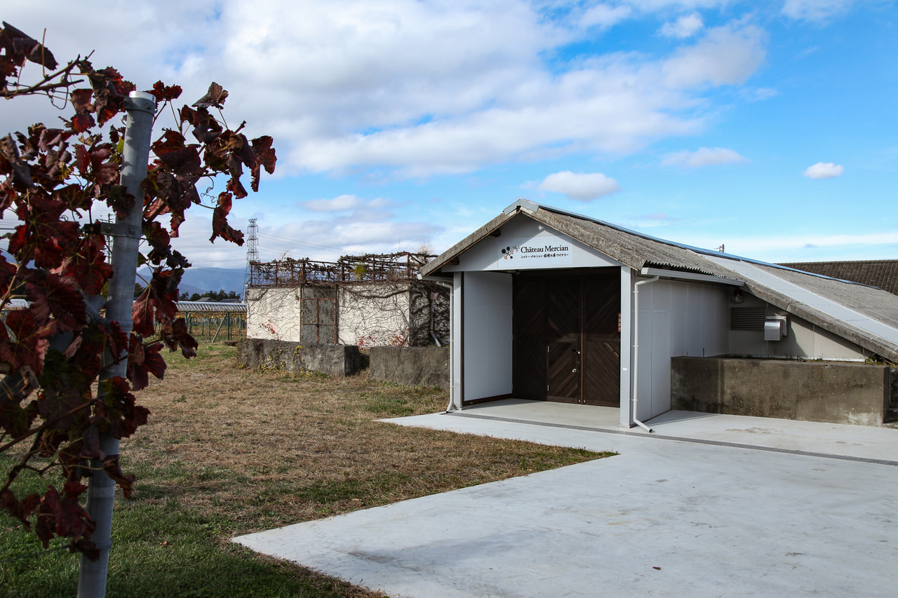 Chateau Mercian Kikyogahara Winery vineyard