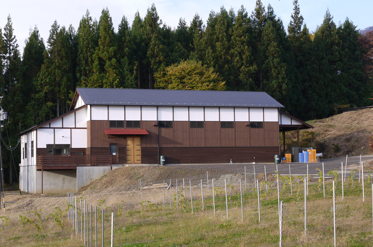 Funky Chateau vineyard