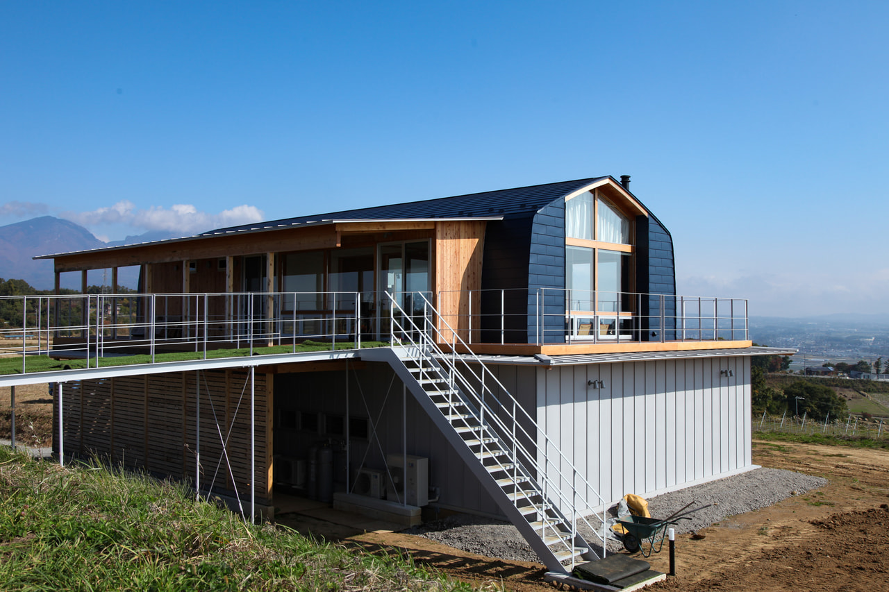 Gio Hills Winery vineyard