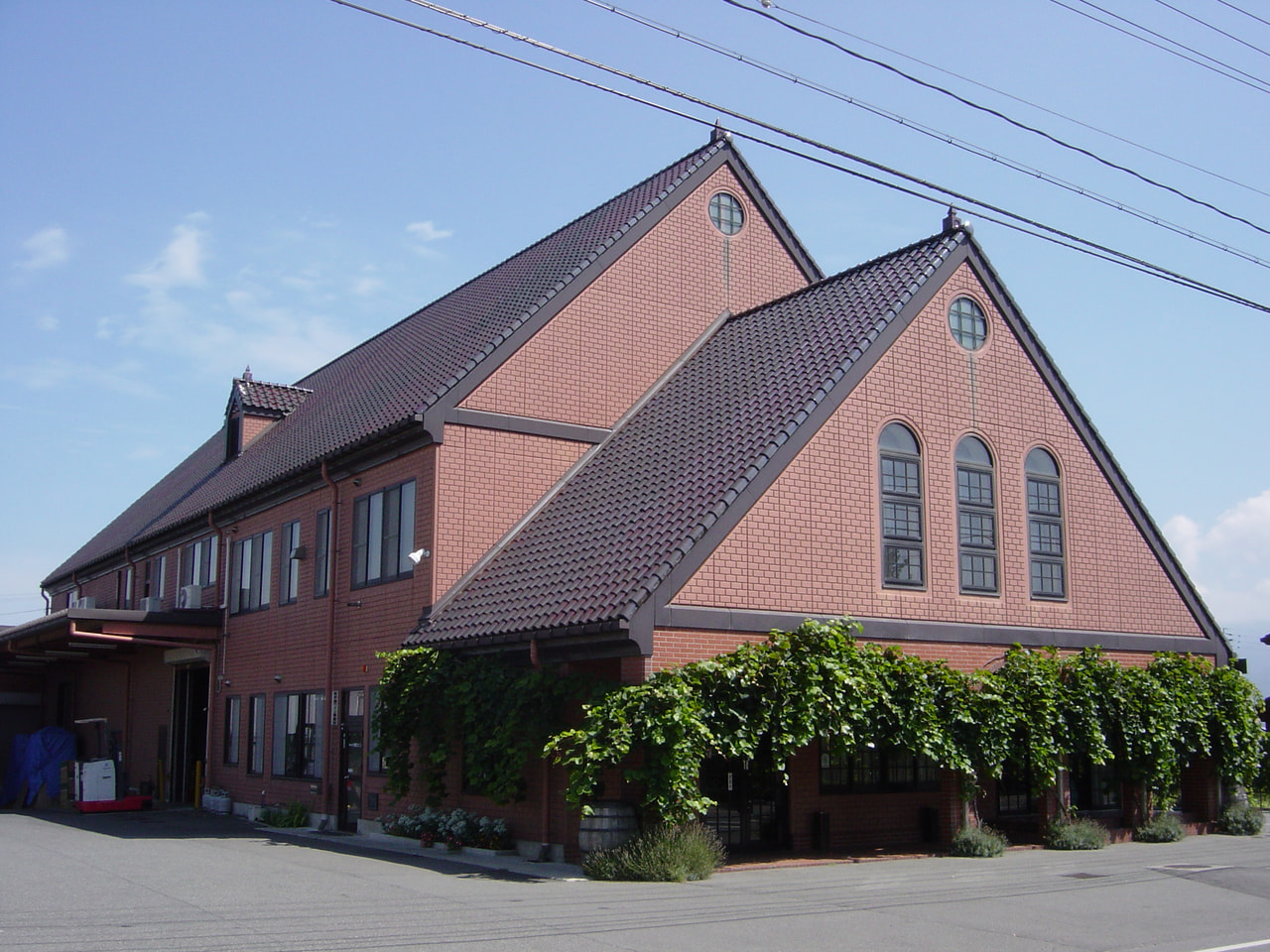 Izutsu Wine vineyard