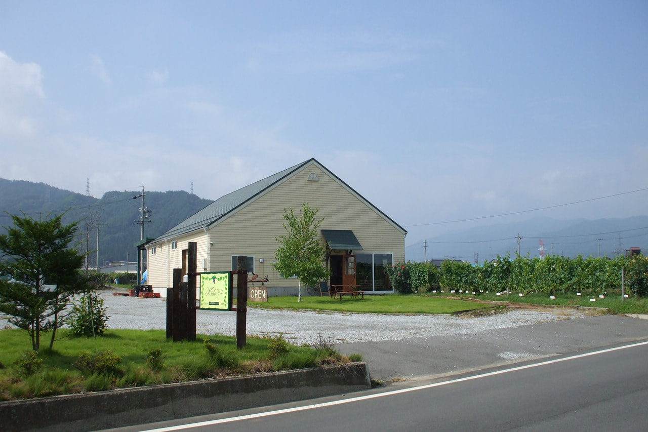 Kido Winery vineyard