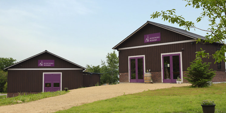 Kusunoki Winery vineyard