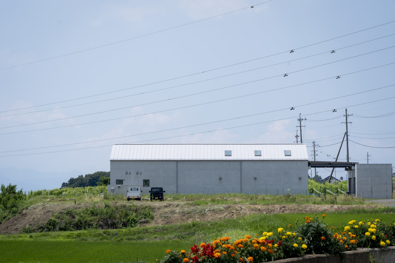 Les Vins Vivants vineyard