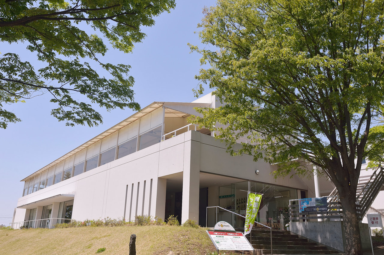 Manns Wine Komoro Winery vineyard