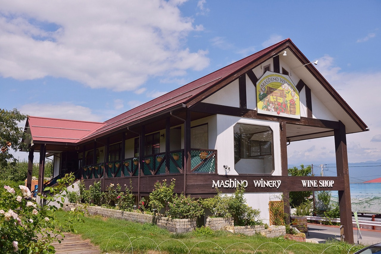 Mashino Wine vineyard