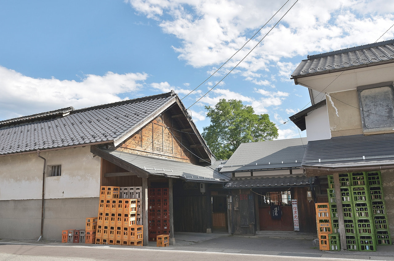 Nishi-Iida Brewery vineyard