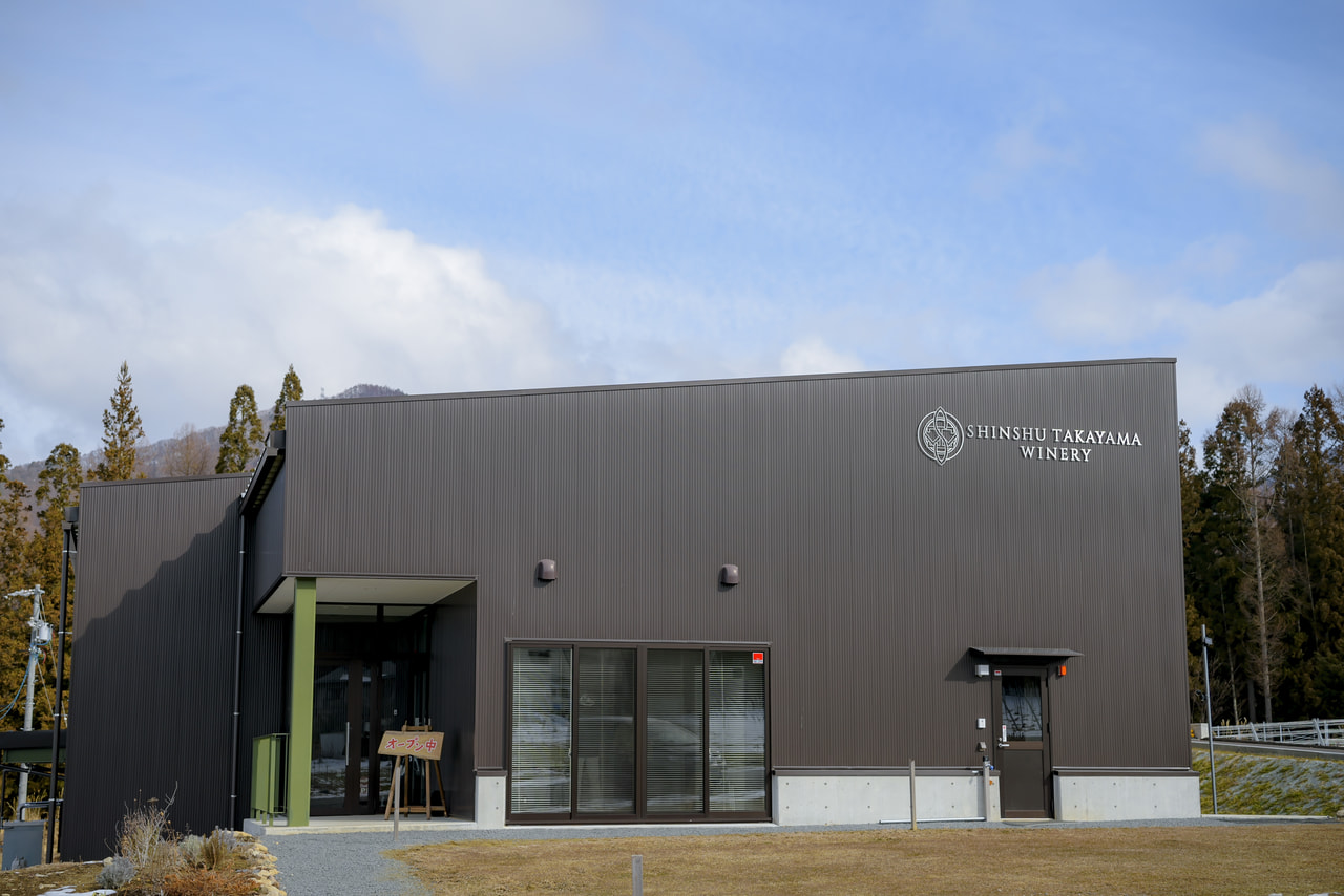 Shinshu Takayama Winery vineyard