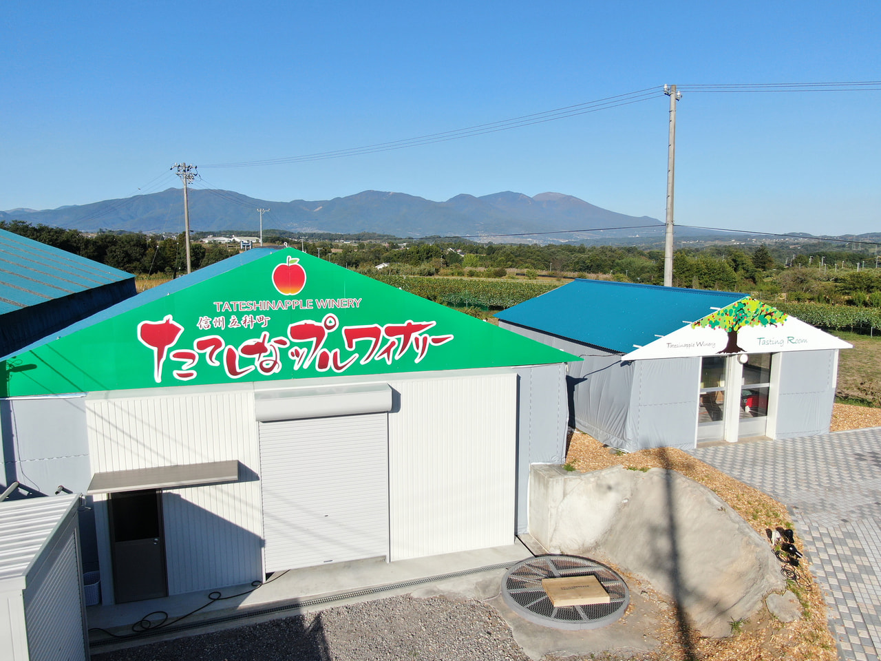 Tateshinapple Winery vineyard