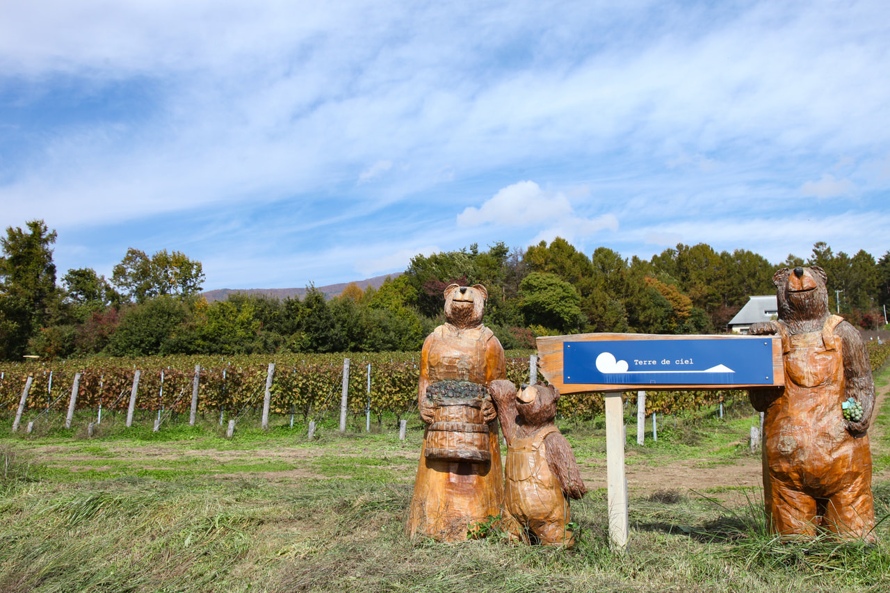 Terre de Ciel vineyard