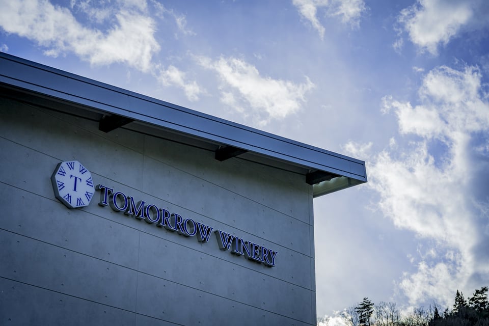 Tommorow Wines vineyard