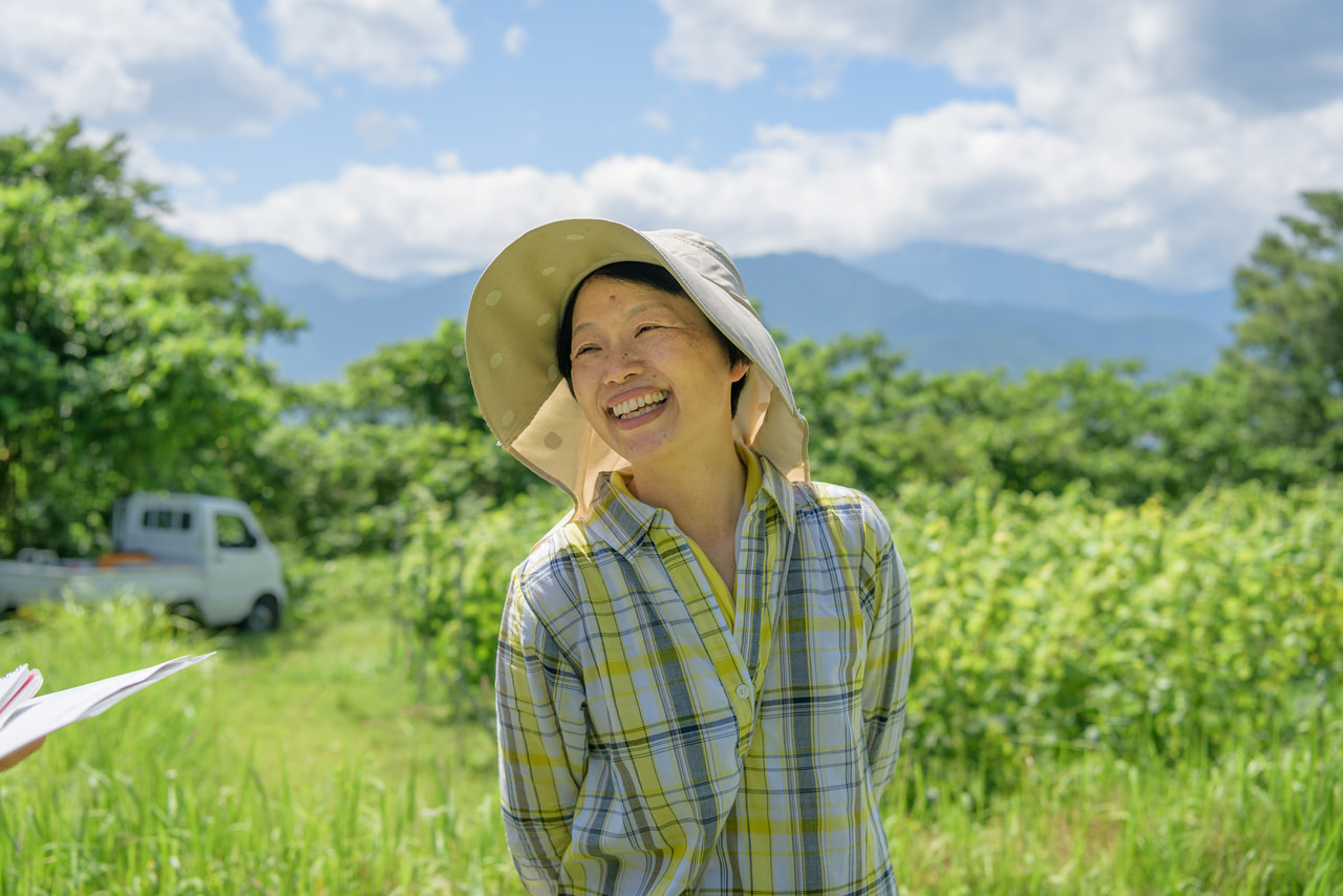 Usa Usa petit Farm vineyard