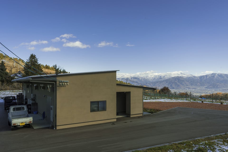 Utabi Winery vineyard