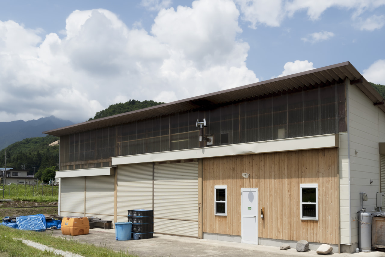 Vin d'Omachi Ferme36 vineyard