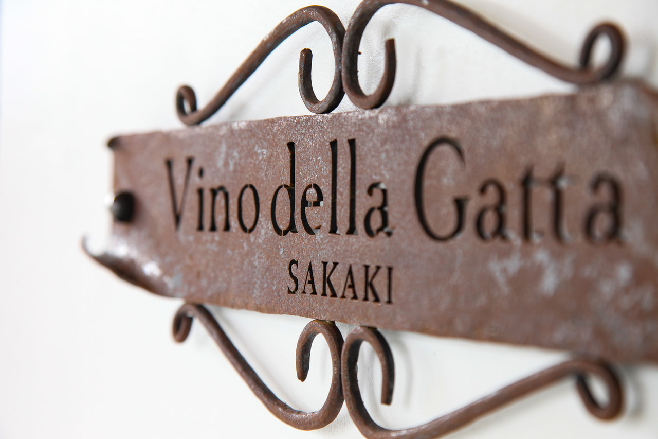 Vino della Gatta SAKAKI vineyard